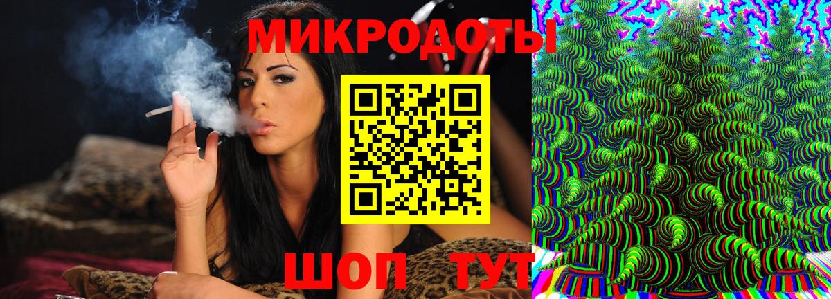 Заводоуковск  Псилоцибиновые грибы Magic Shrooms  дарнет шоп  Вход с VPN  Псилоцибиновые грибы Psilocybe 