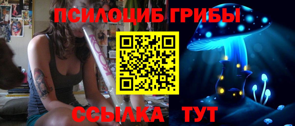 Псилоцибиновые грибы ЛСД Заводоуковск